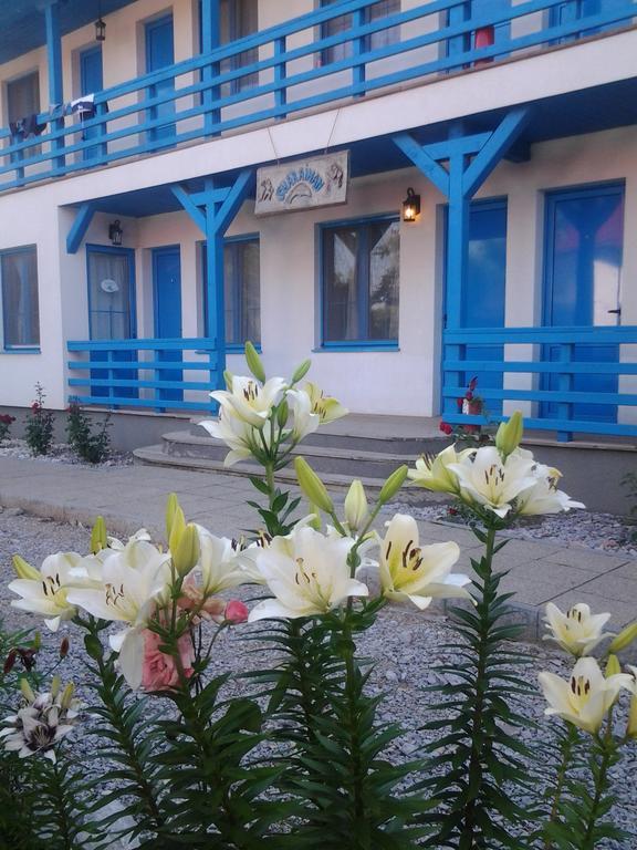 Pension Sharaiman Dunavatu de Jos ภายนอก รูปภาพ